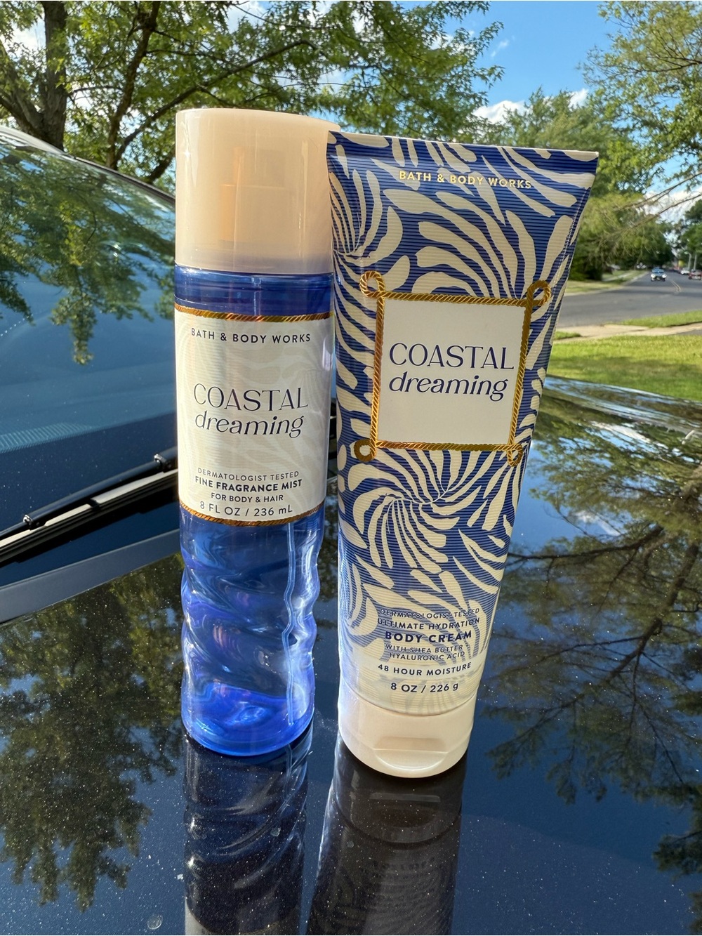 Bath & Body Works Coastal Dreaming Mist & Body Cream - 💙🤍💙